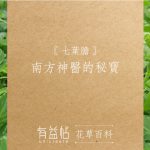 20190908_blog_七葉膽